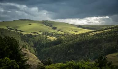 Aberdare National Park