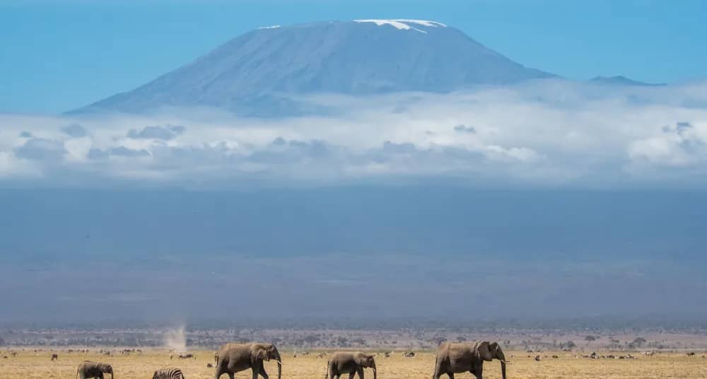 Amboseli Scenic Safari