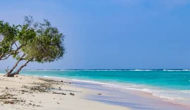 Diani Beach Escape