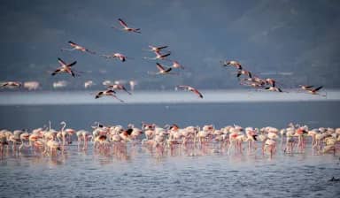 Lake Nakuru National Park