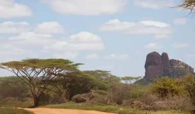 Samburu National Reserve