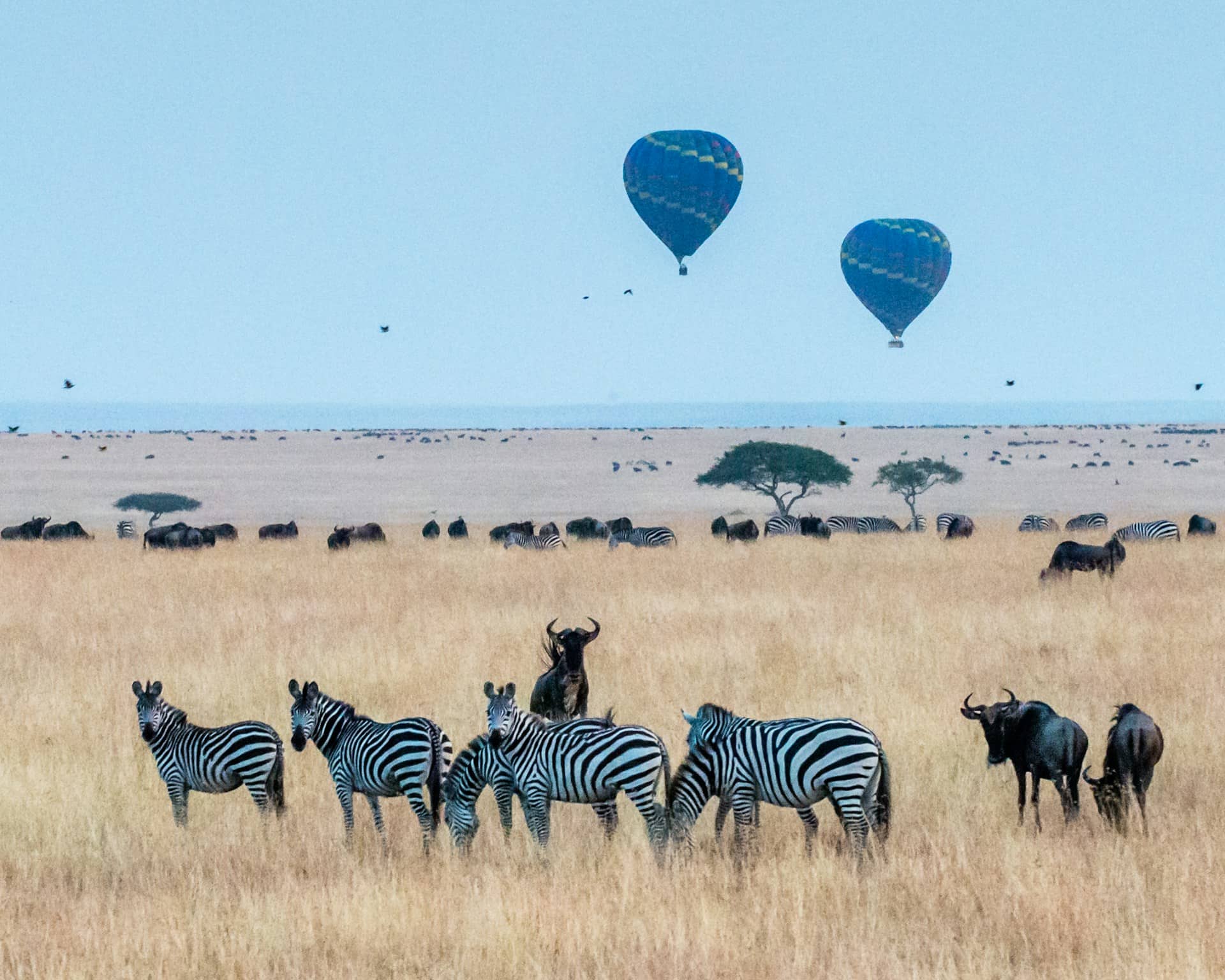 Floating Over the Maasai Mara at Dawn Is Exactly What It Sounds Like Hot air balloon